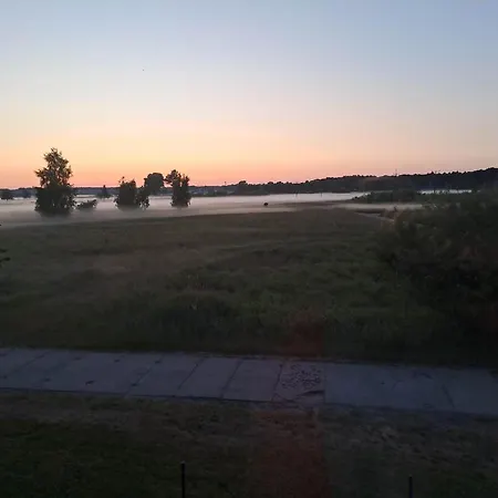 Goscinne Fuksja * Nowecin