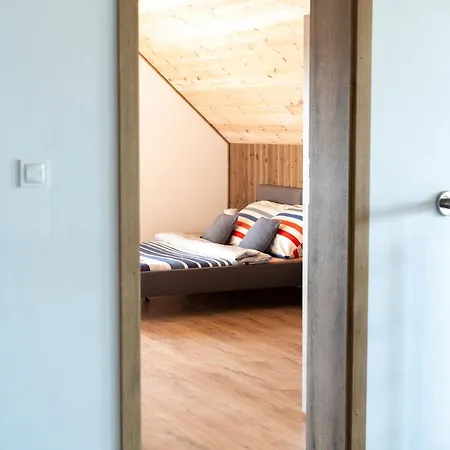 Goscinne Fuksja Nowecin