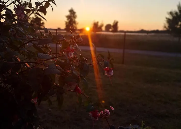 Pansiyon Goscinne Fuksja Nowecin